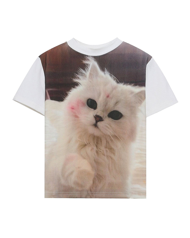 Cute cat simple short sleeves