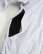 Blue and white striped shirt