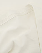 Cute Kitten Short Sleeves