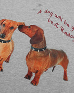 Cute printed short sleeves